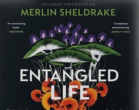 Entangled Life - An evening with Merlin Sheldrake