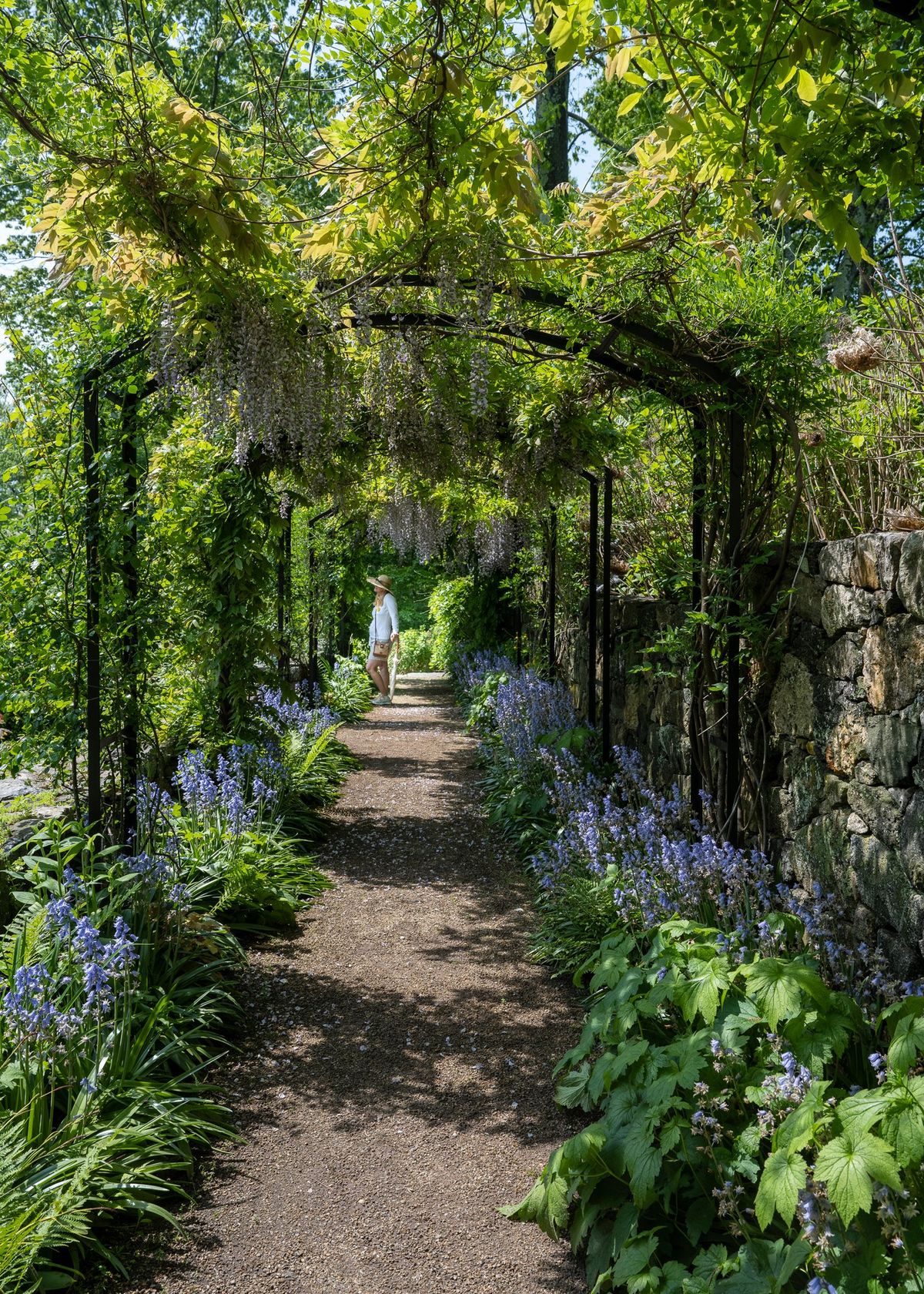 Documentary Premiere: A Garden in Conversation: Louise Agee Wrinkle\u2019s Woodland Sanctuary