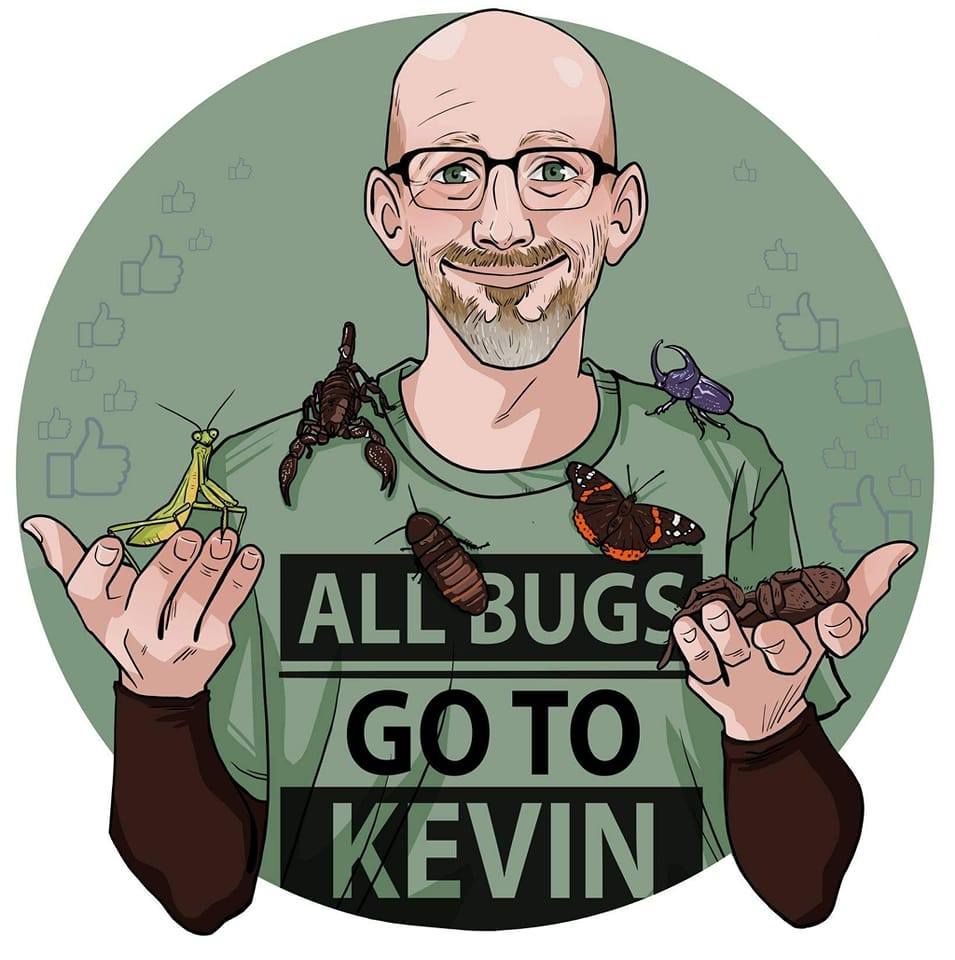 All Bugs Go To Kevin