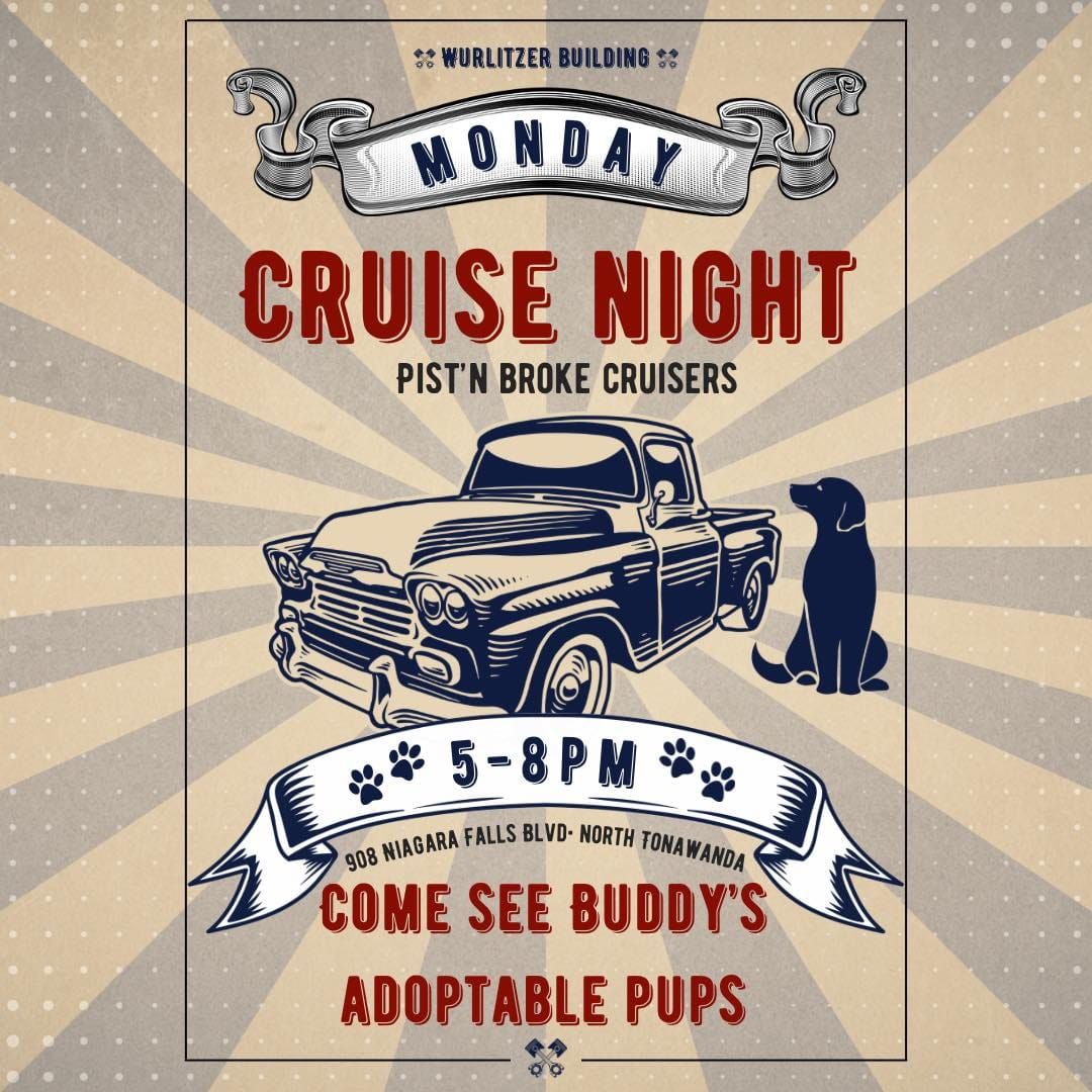 Cruise Night with Buddys!\ud83c\udfc1\ud83d\udc15