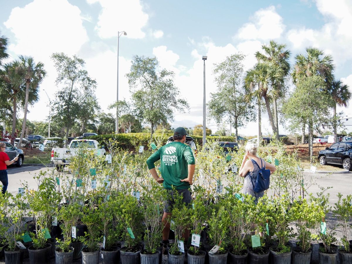 Keep PBC Beautiful Free Tree Giveaway