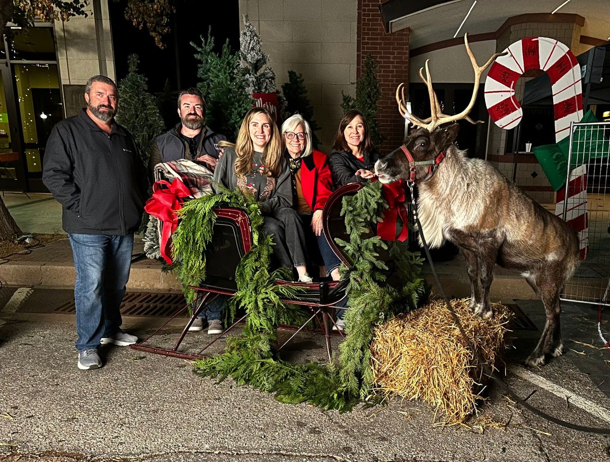 Reindeer in the Park