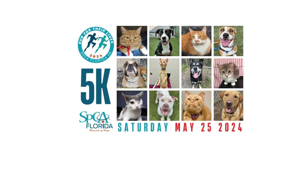 " Run For Their Lives " SPCA Florida 5K