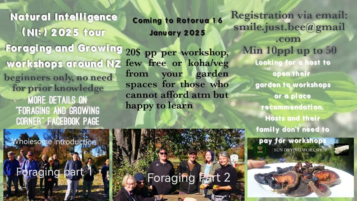 Foraging Workshop Part 1, Wholesome introduction + Potluck! 