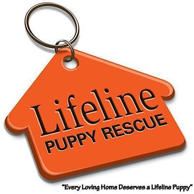 Lifeline Puppy Rescue