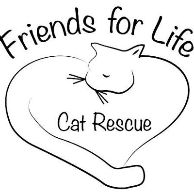 Friends for Life Cat Rescue