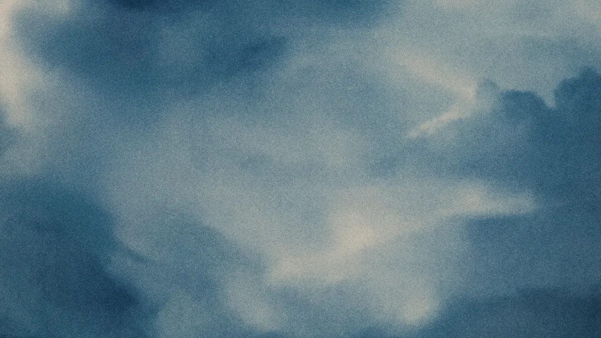 Sarah McLachlan in Washington