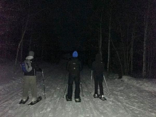 Moonlight Snowshoe