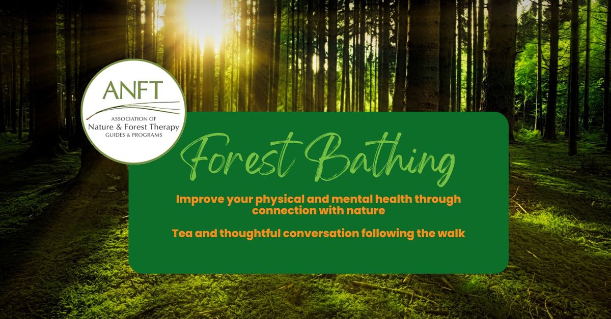 Guided Forest Bathing Walk