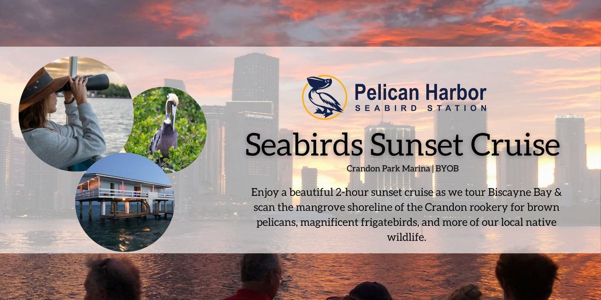 Sunset Seabird Cruise \ud83c\udf07 