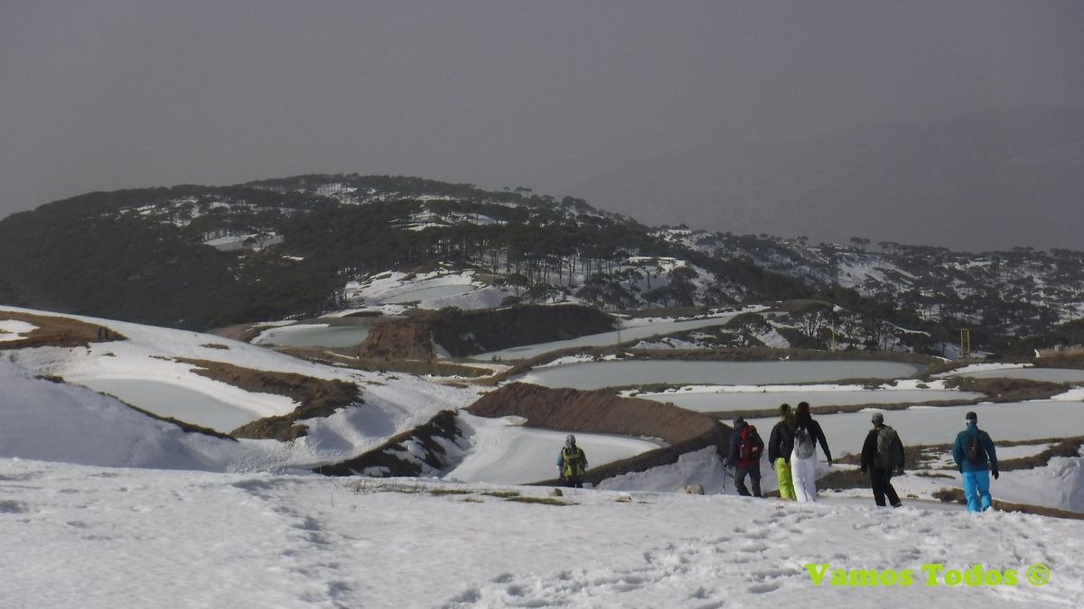 Falougha Cedars Snowshoeing