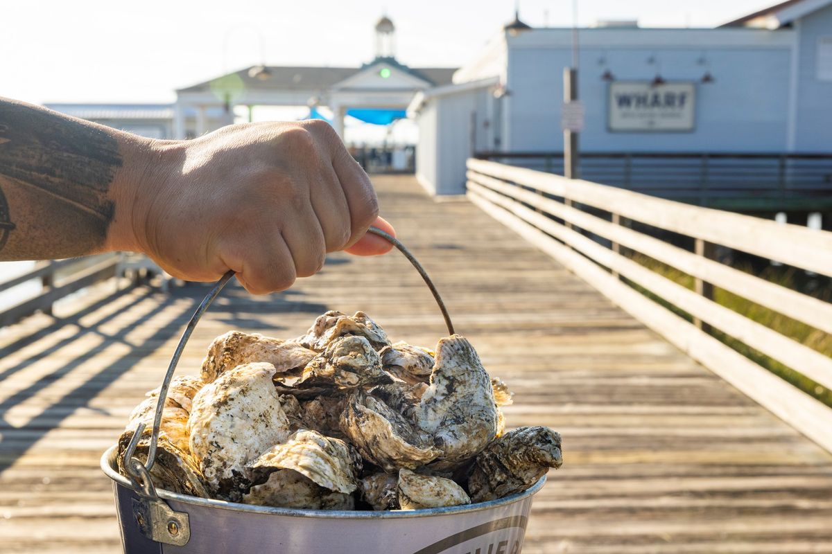 Rock the Dock Oyster Roast