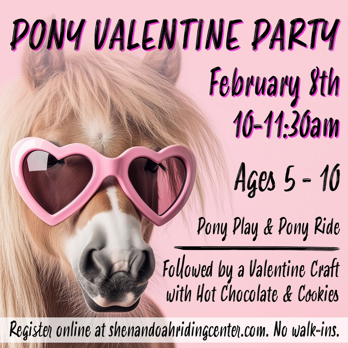 Pony Valentine Party