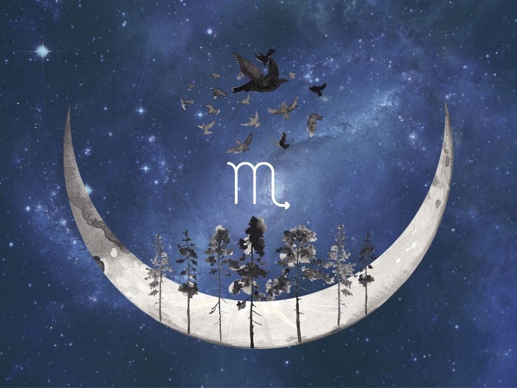 Astrology of the New Moon in Scorpio, with Brett d'Arras