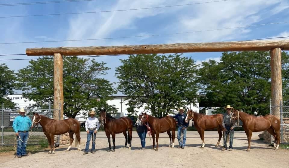 IQHA Ranch Horse Futurity