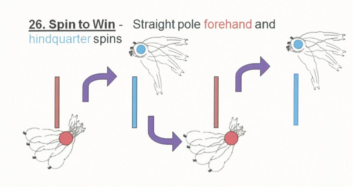 Horsemanship for the everyday rider: turn on forehand and haunches, sidepass