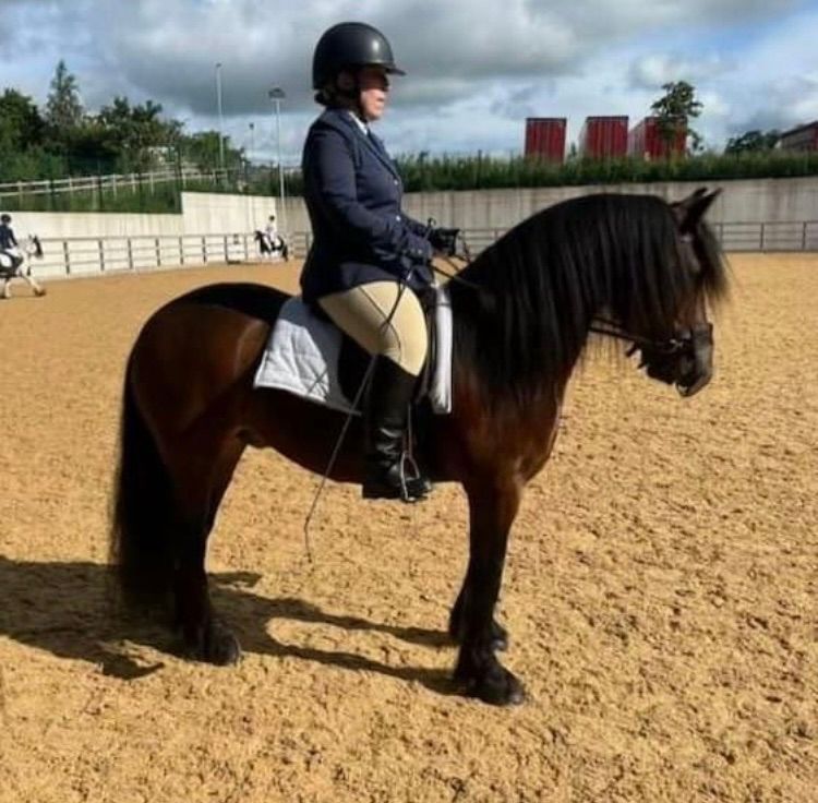 First Points Dressage