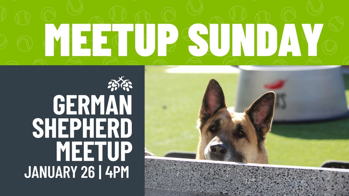 German Shepherd Meetup 