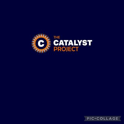 The Catalyst Project LLC