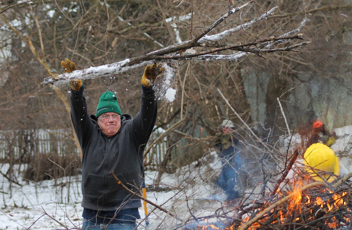 Volunteer Morning: Lake Chaminwood Preserve