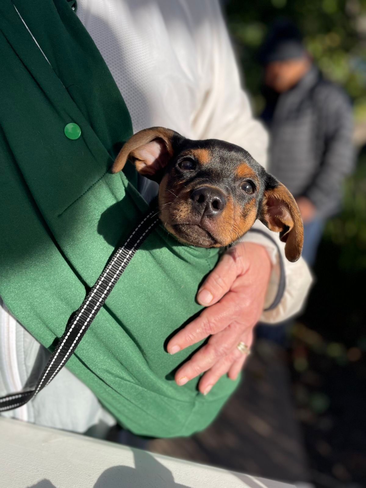 Joybound People & Pets Free Vaccine and Microchip Clinic