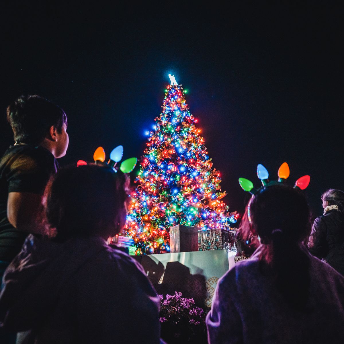 Downtown Chula Vista Tree Lighting & Holiday Market