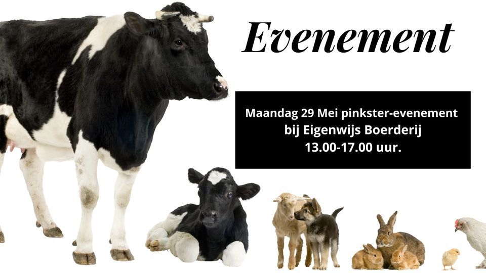 Gratis knutselen tijdens pinkster evenement@ Eigen Wijs Boerderij