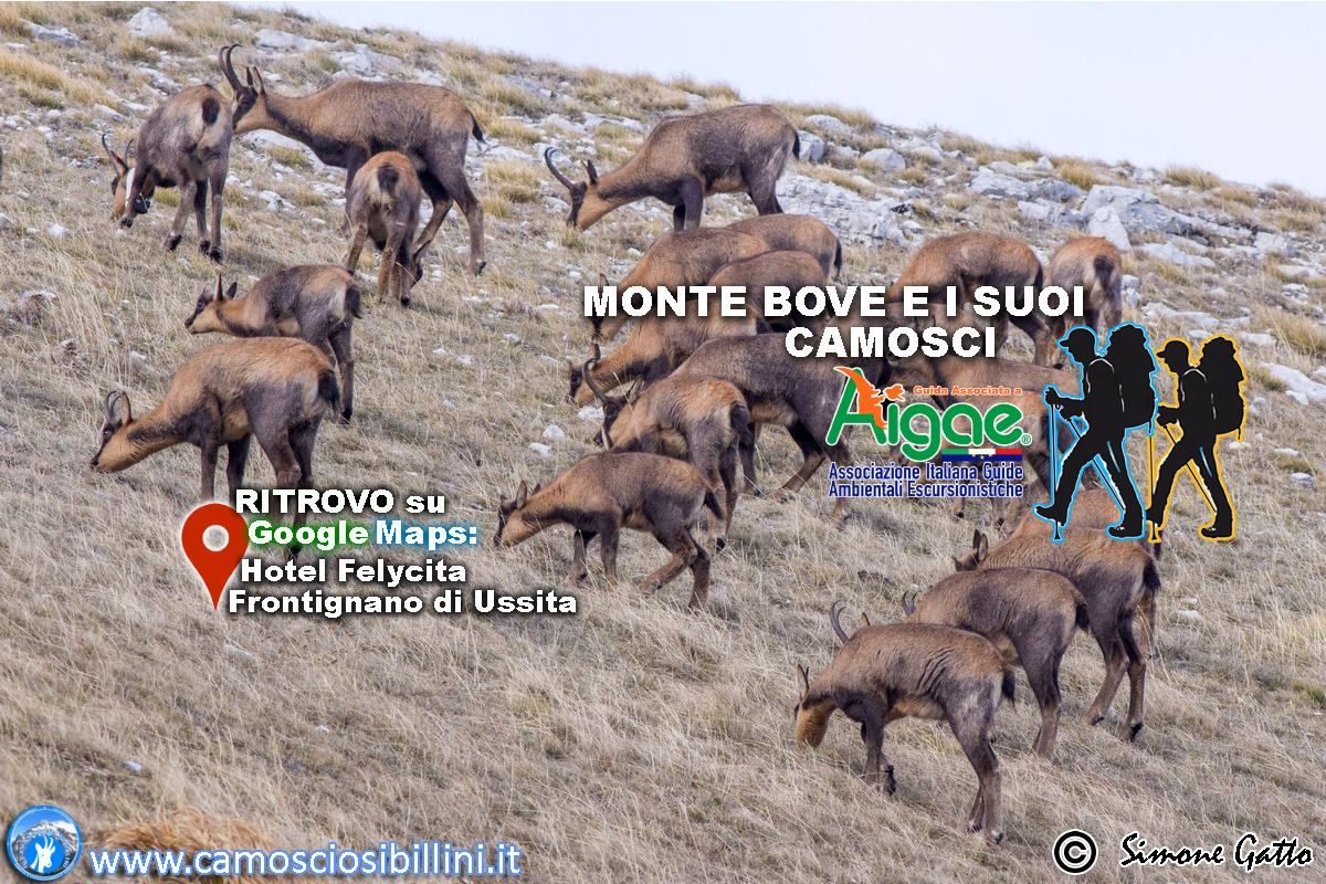  Settembre, Monte Bove escursione ai Camosci