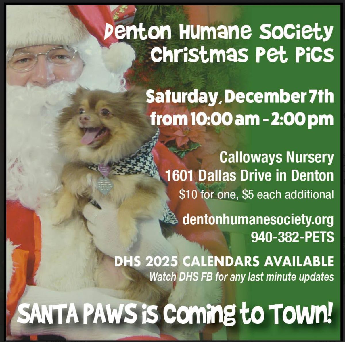 DHS Holiday Pet Pics