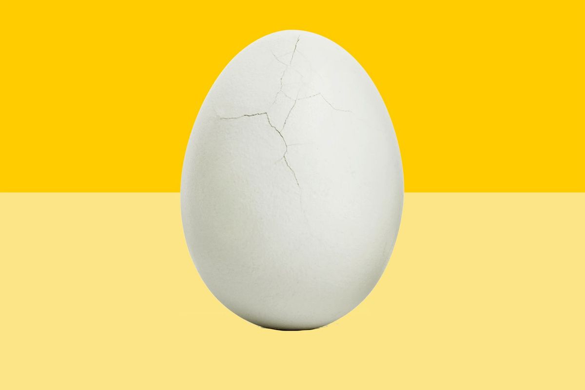 A Crack in the Egg