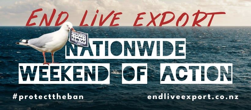 ELENZ - Nationwide Weekend of Action