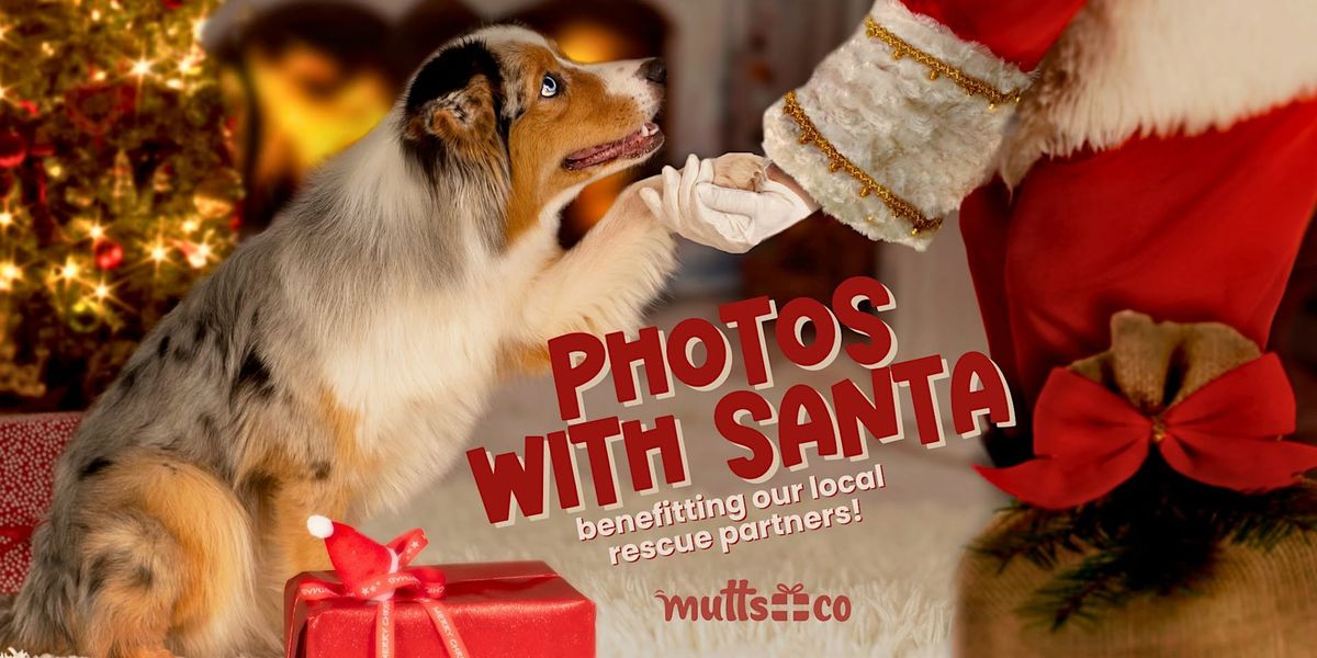 Holiday Photos with Santa benefitting Cozy Cat Cottage! (Lewis Center)