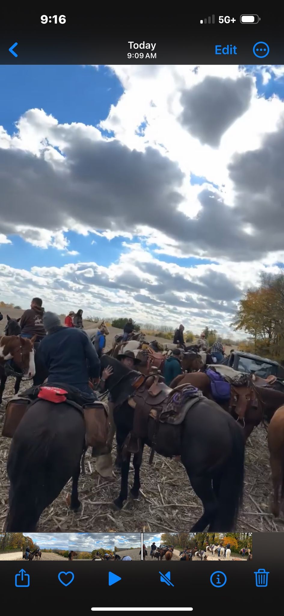 Horseshoe Tavern Fall Horse Ride 2024