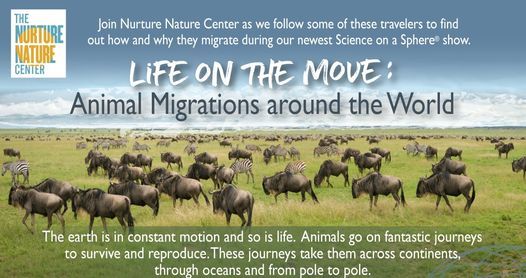 Science on a Sphere! Life on the Move: Animal Migrations around the World