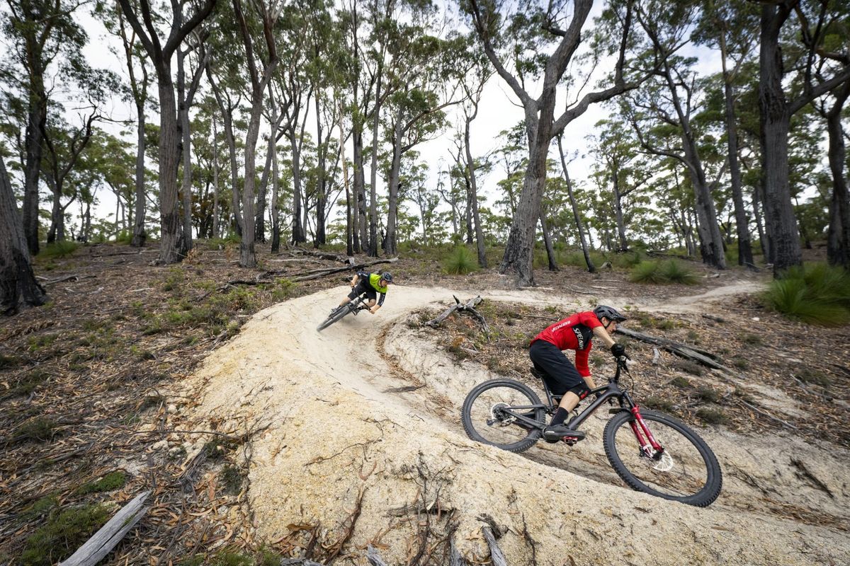 Blue Tier Descent and Bay of Fires Trail