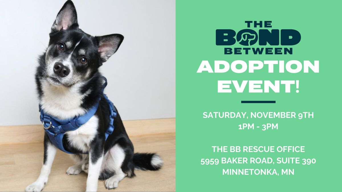 The BB Pet Adoption Event!