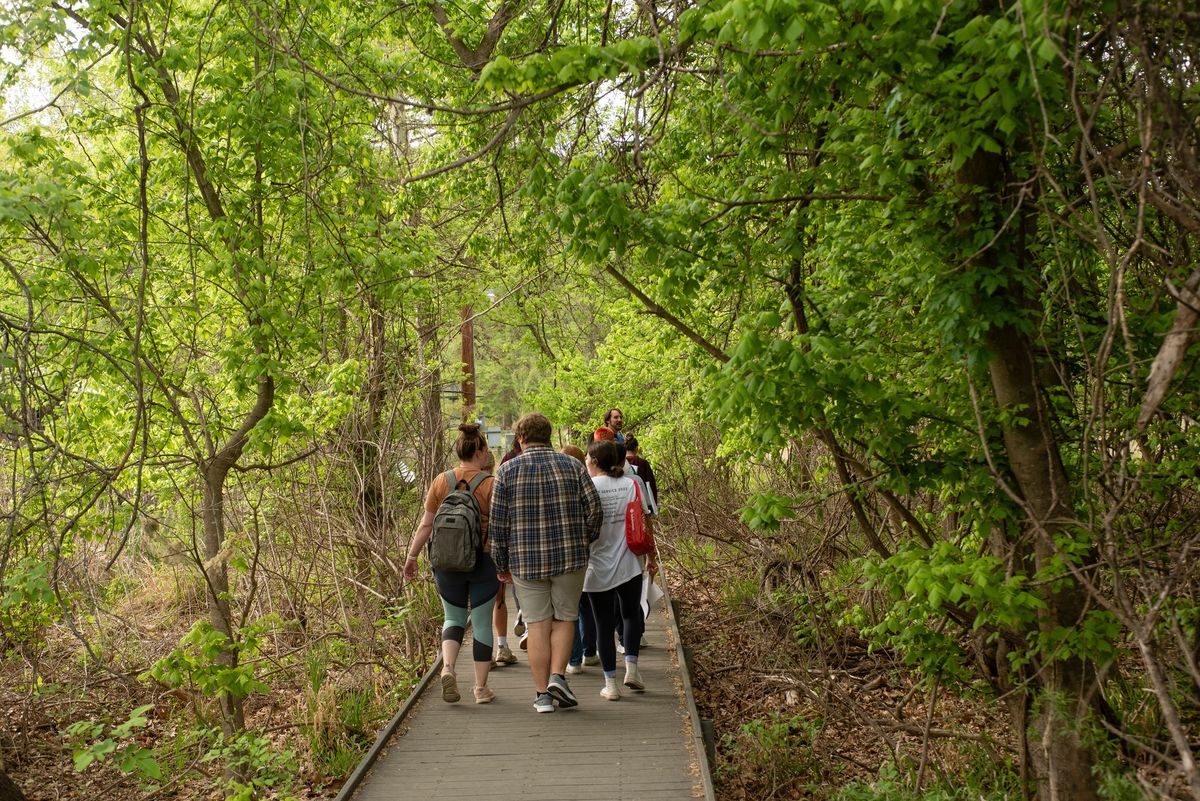 Wetland Wonders Family Fun Day