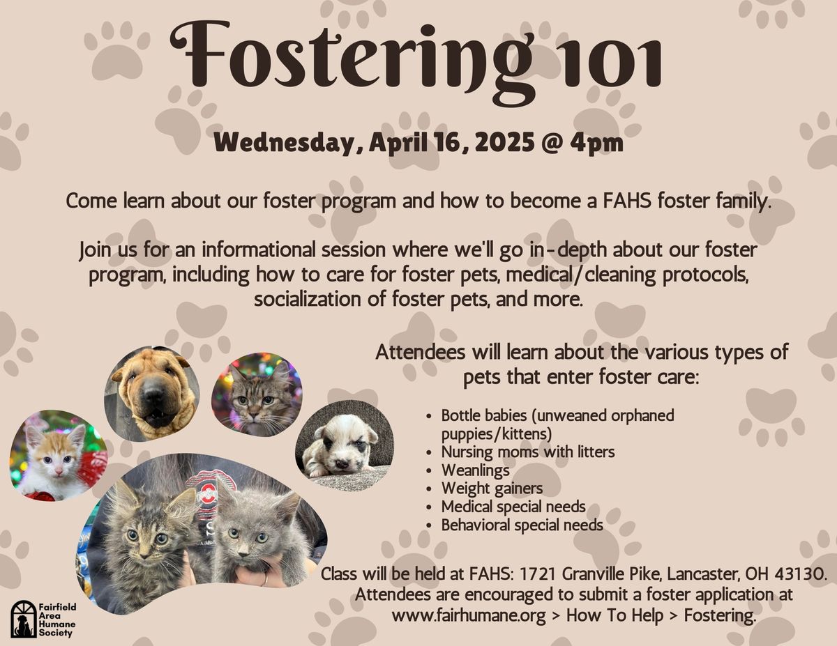 Fostering 101