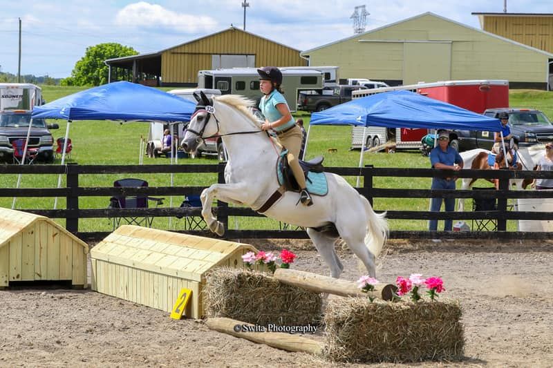 *NEW* Summer Jumper Derbies at Greenhill Park!