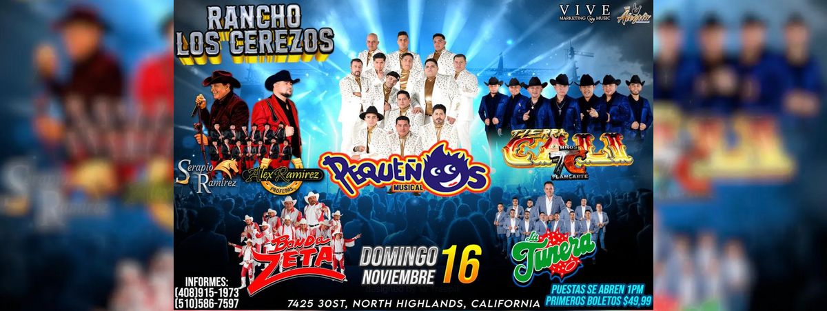  PEQUE\u00d1OS MUSICAL, SERAPIO Y ALEX RAMIREZ & MAS