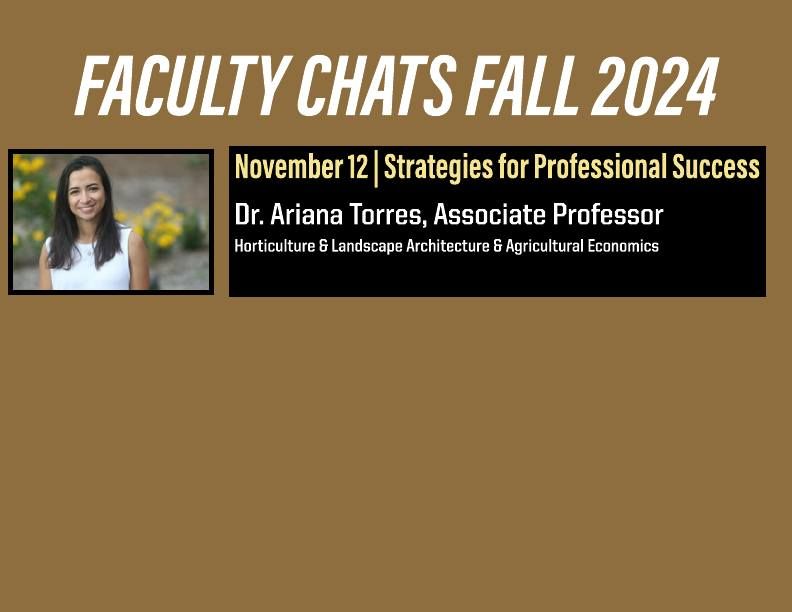 Faculty Chats | November 12 | Strategies for Professional Success 