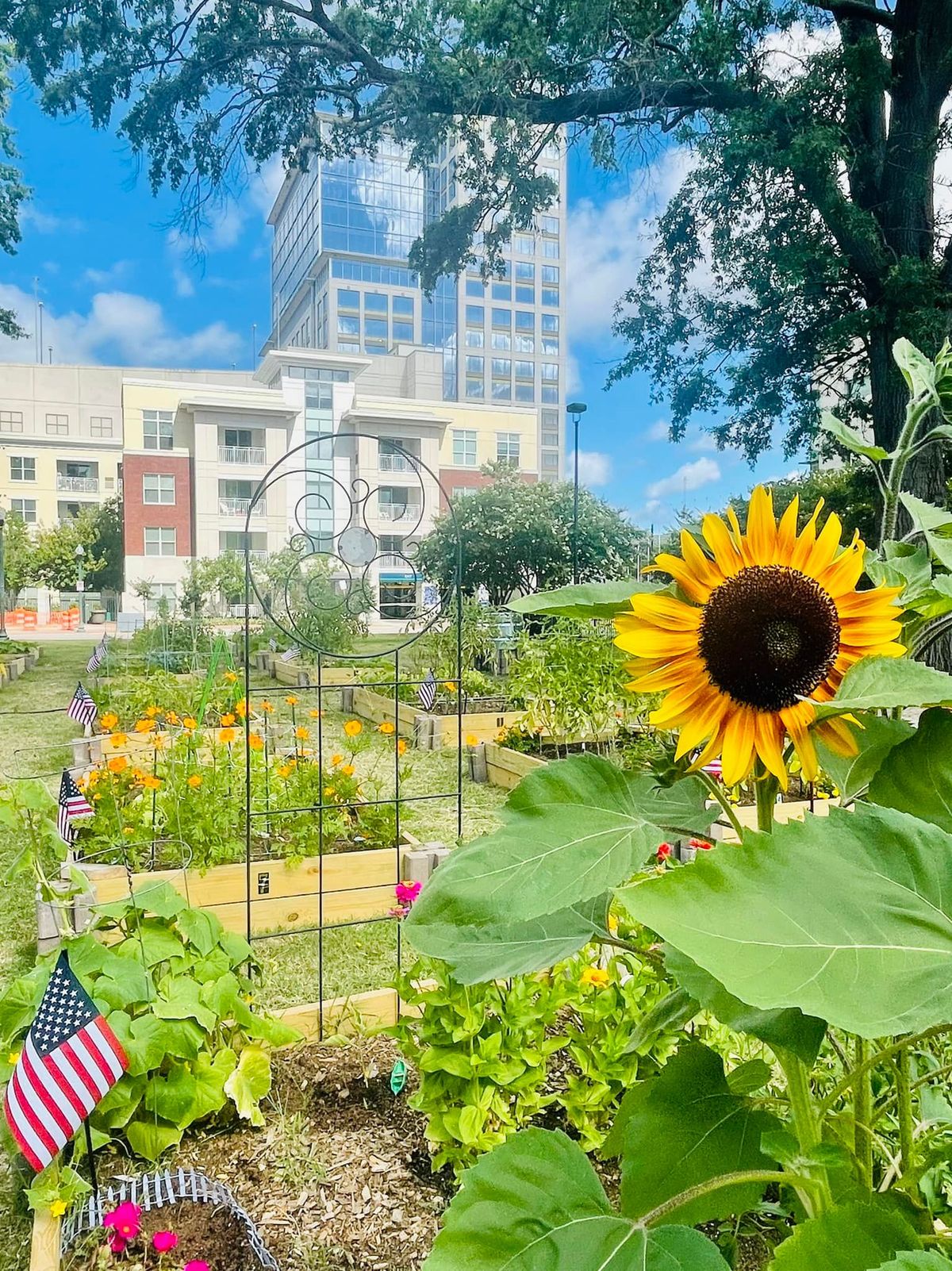 Garden Power Hour (Fueled By Granby Street Pizza)