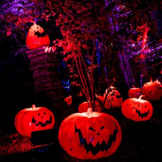 Disney Tim Burton\u2019s The Nightmare Before Christmas Light Trail