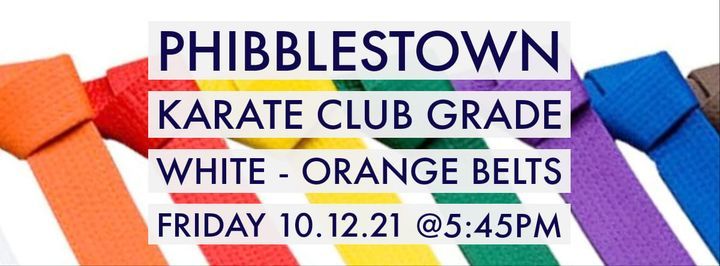 Phibblestown Karate Club White - Orange Belt Grade
