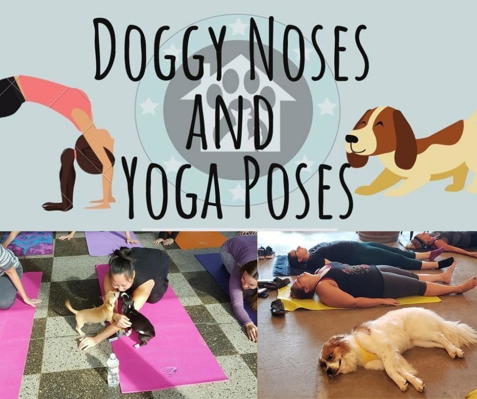 Doggy Noses Yoga Poses