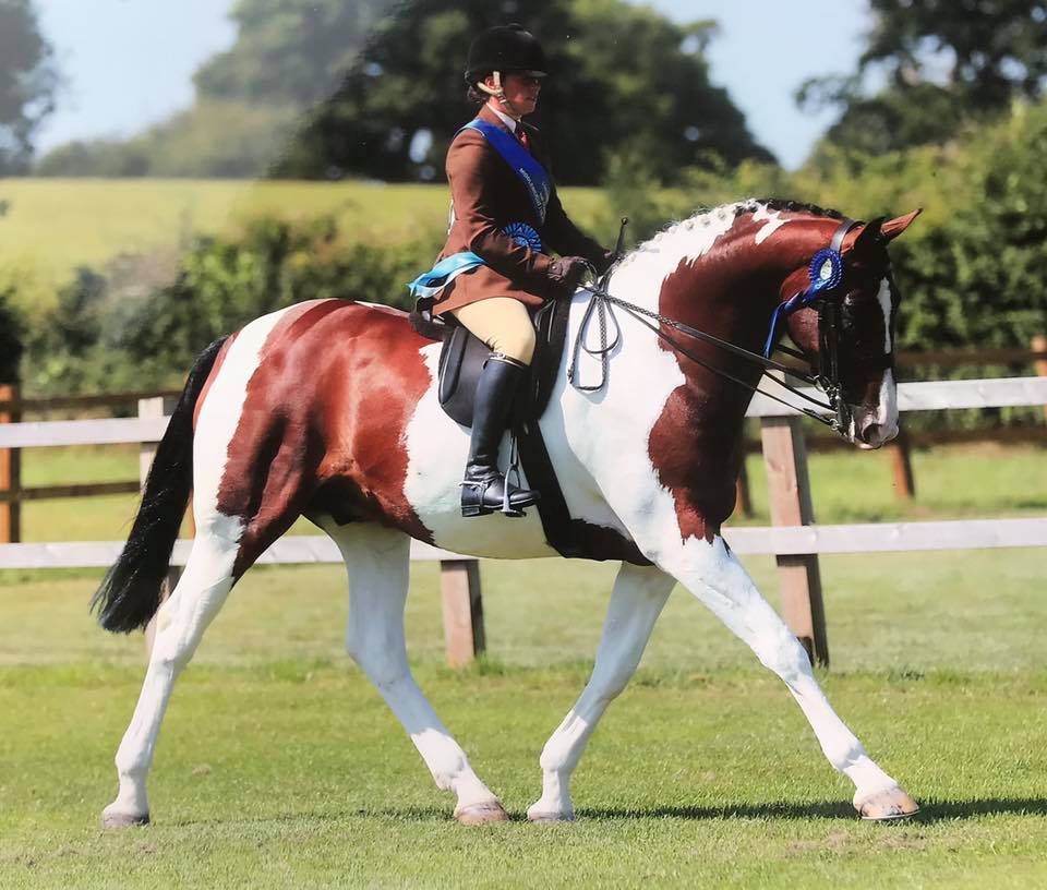 LIHS Flatwork Clinic With Vicky Smith