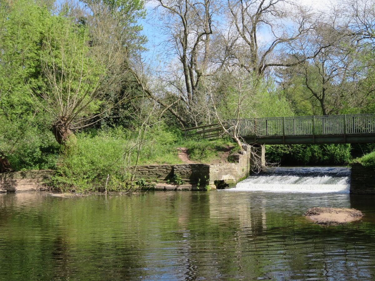 Guided Riverside Walking Tour