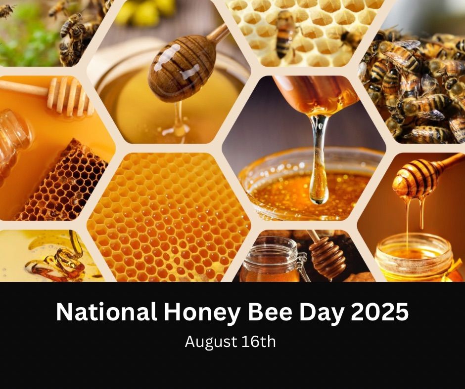 National Honey Bee Day 2025