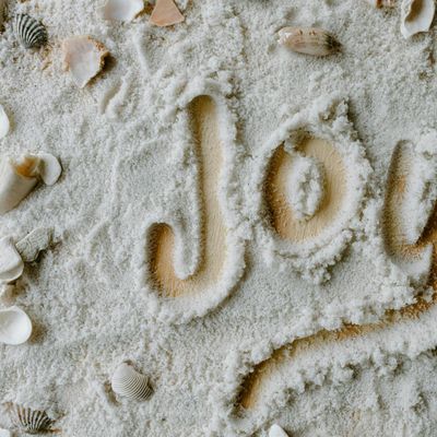 Gina Finds Joy