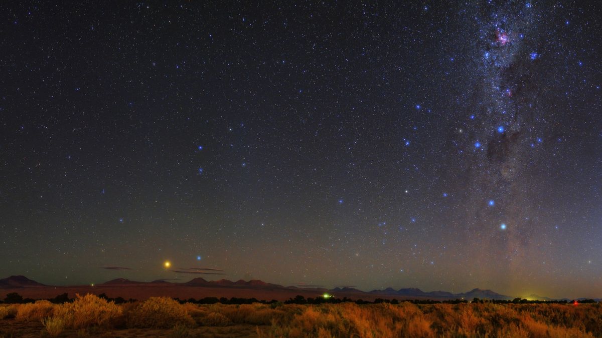 Beasts above and below the horizon: Do sardines dream of stars?